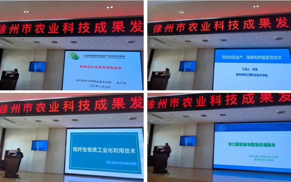 光影魔术手拼图.jpg 光影魔术手拼图.jpg