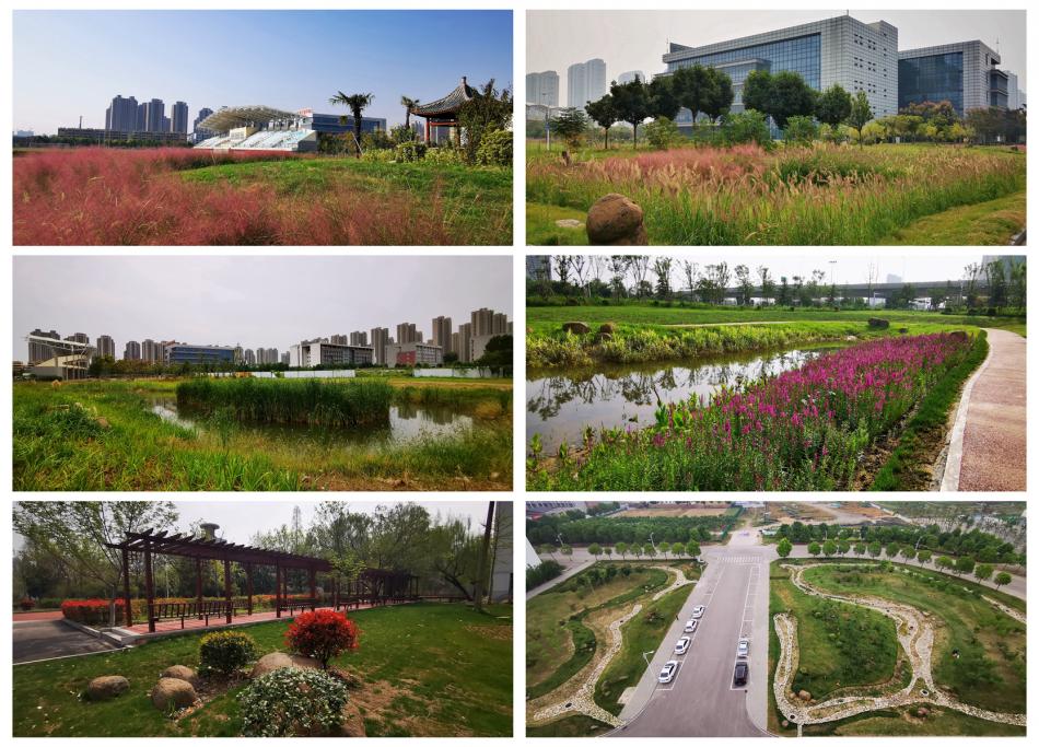 010802.jpg 010802.jpg