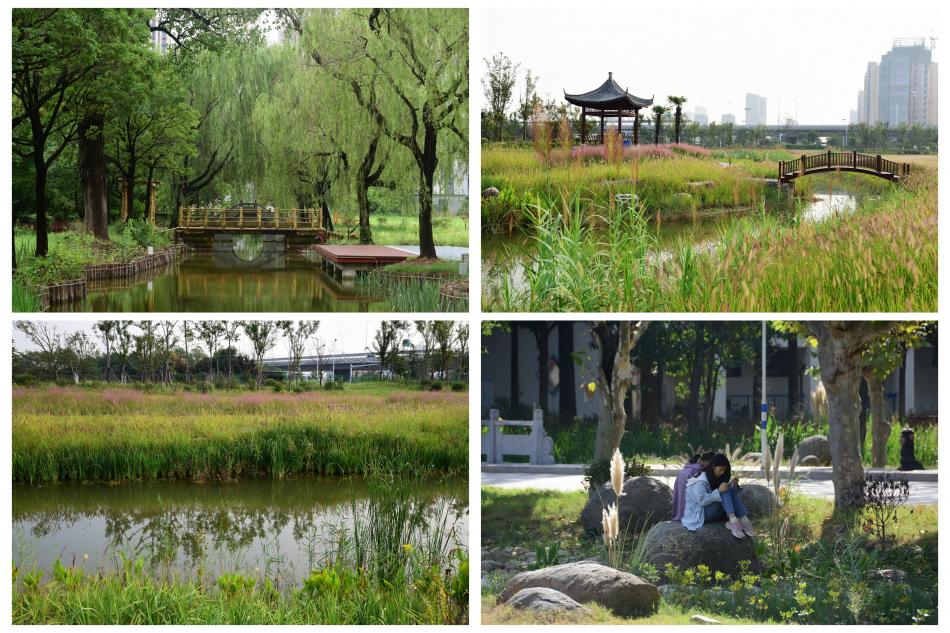 011801.jpg 011801.jpg