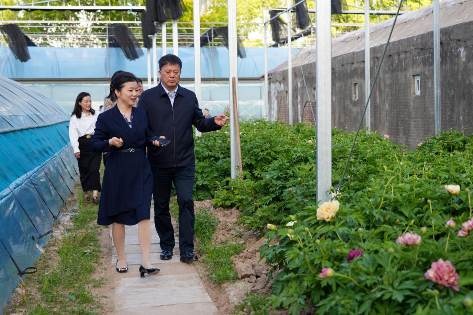 微信图片_20240425050054_副本_副本.jpg 微信图片_20240425050054_副本_副本.jpg