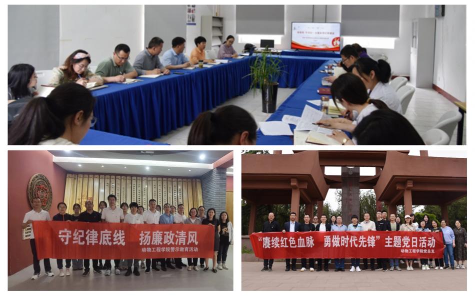 1210011.jpg 1210011.jpg