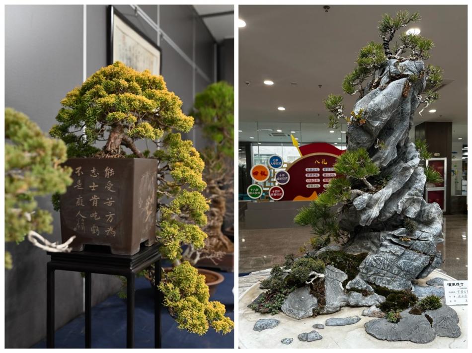 b555555555.jpg b555555555.jpg