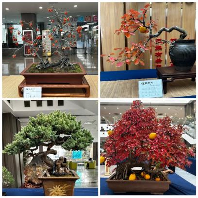 b666666.jpg b666666.jpg