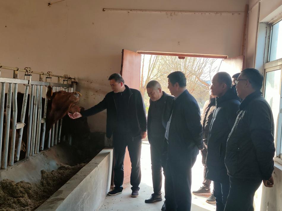 3e0bcae9f15dc225c6a386c74b904849.jpg 3e0bcae9f15dc225c6a386c74b904849.jpg