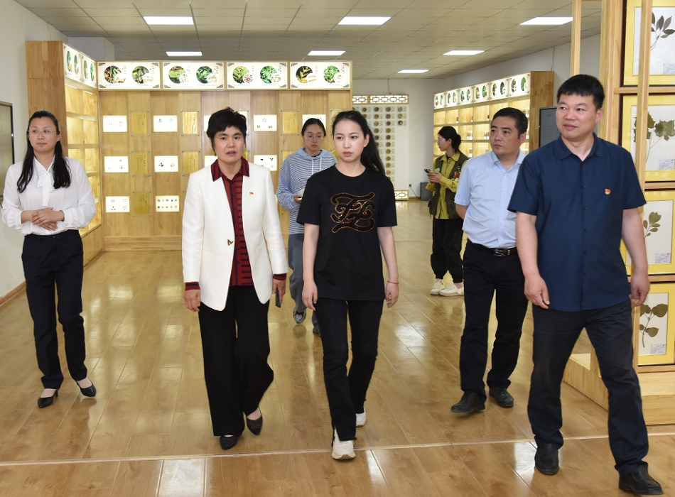 微信截图_20240520175525.png 微信截图_20240520175525.png